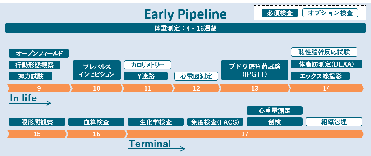 pipeline_01